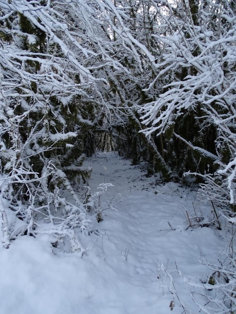 montadroit neige lac